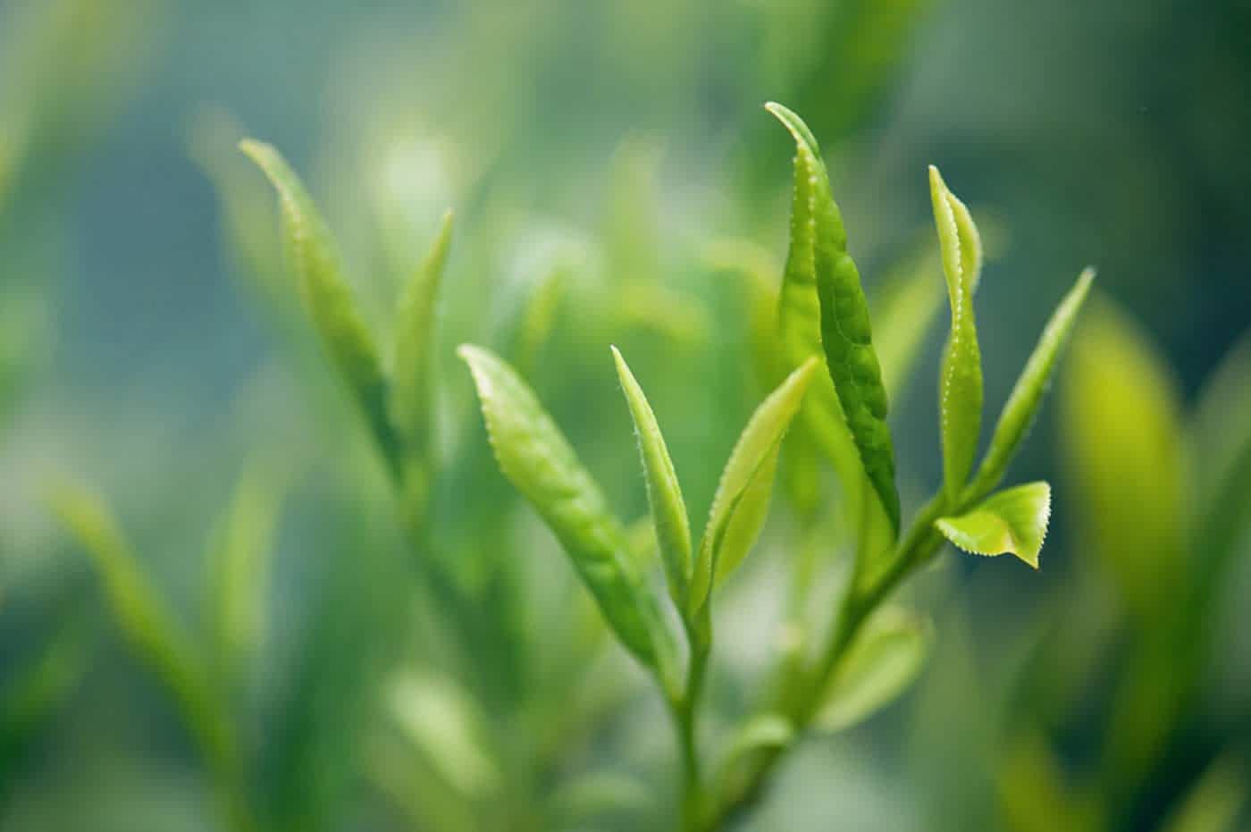 Совместная закупка