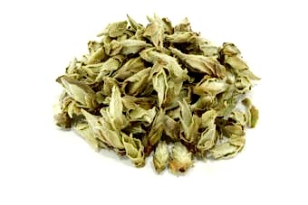 чайные-почки