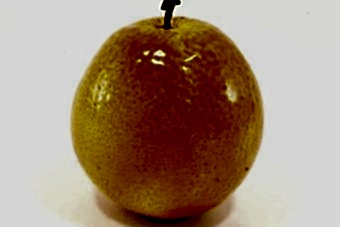 статуэтка-апельсин