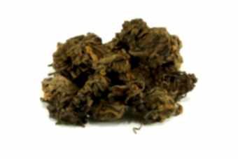 шу-пуэр-в-камнях-2006