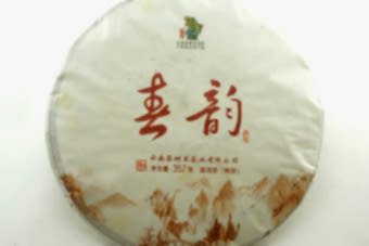 шу-пуэр-мелодия-весны-357